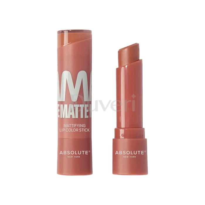 Absolute New York Mattifying Lip Color Stick (MLAM03 – Cherie) – 3g