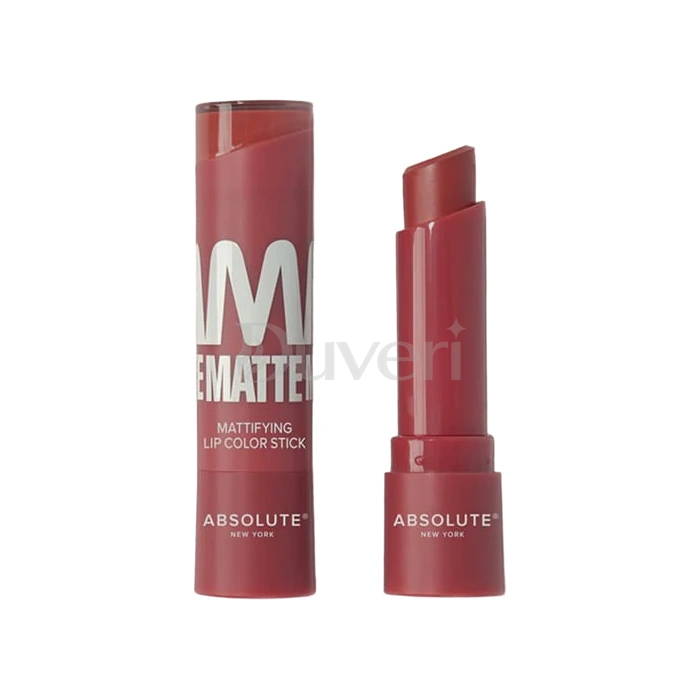 Absolute New York Mattifying Lip Color Stick (Sienna MLAM05)